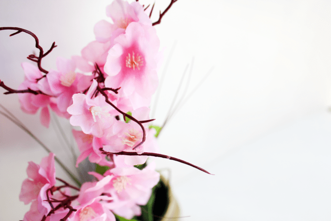 Feminine Floral Iphone 6 6 Createherstock.png